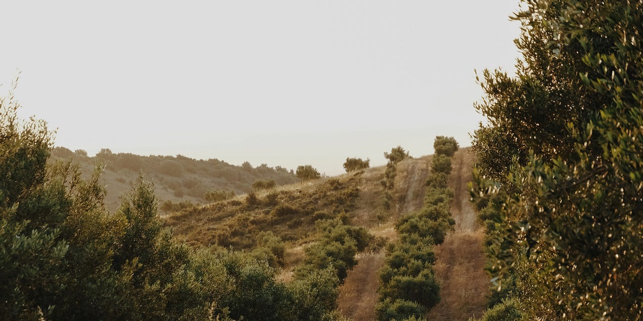 The Diary of a Travel Photographer & Writer: June 2026