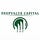 DeepValue Capital