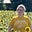 Shannon M. Zimmerman's avatar