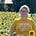 Shannon M. Zimmerman's avatar