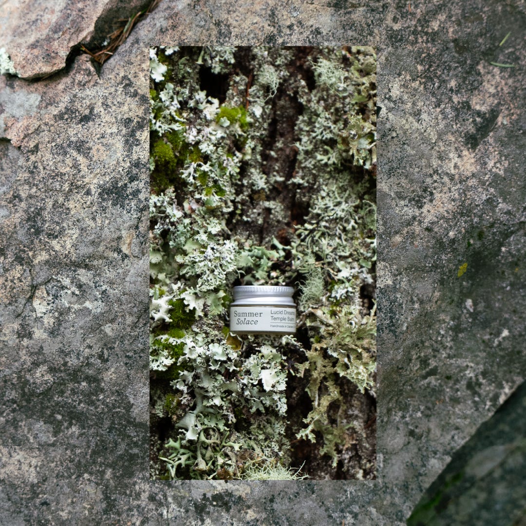 Lucid Dreams & Meditation Balm