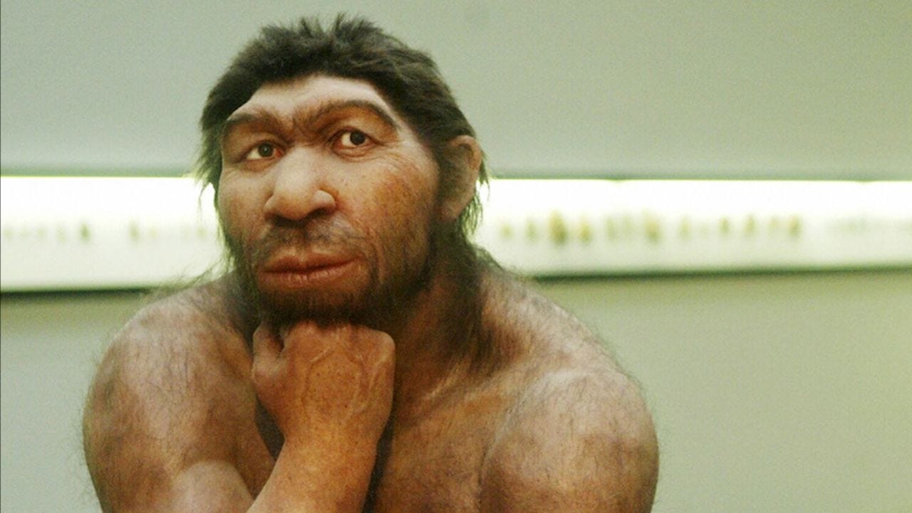 Got allergies? You can blame the Neanderthals