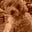 John Sauls's avatar