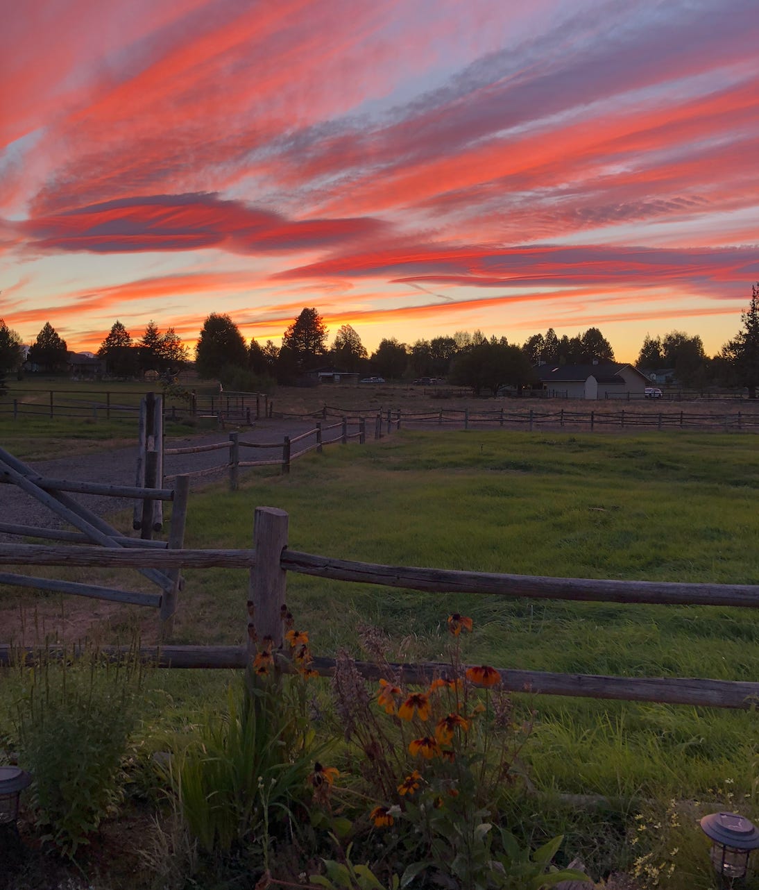 Farm Sunset.png