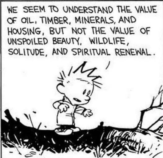 May be an image of text that says 'WE SEEM TO UNDERSTAND THE VALVE OF OIL, TIMBER, MINERALS, AND HOUSING, BUT NOT THE VALUE OF UNSPOILED BEAUTY, WILDLIFE, SOLITUDE, AND SPIRITUAL RENEWAL.'