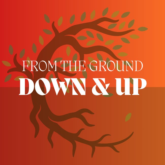 From the Ground Down & Up