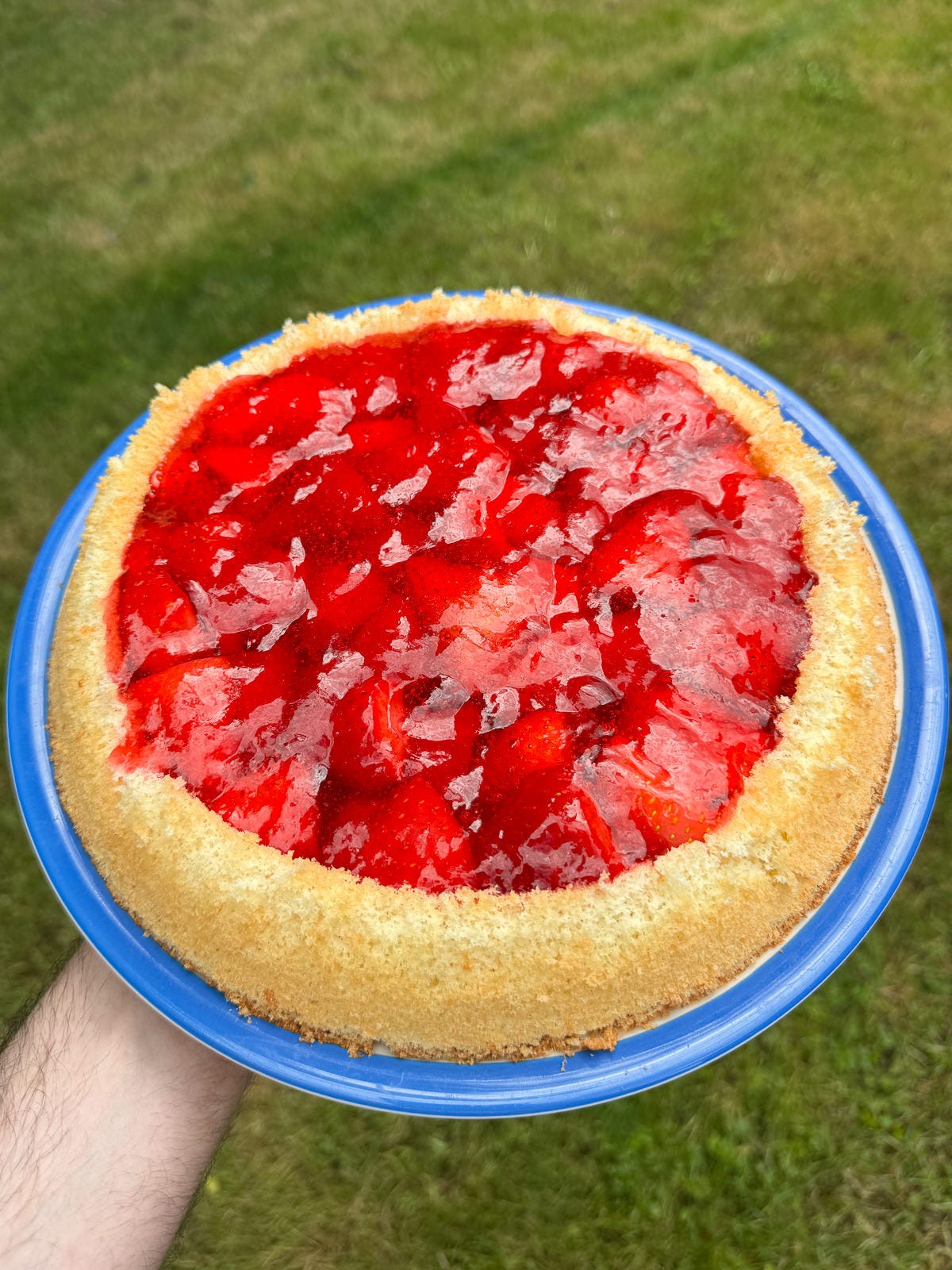 strawberry jelly flan strawberry jelly flan