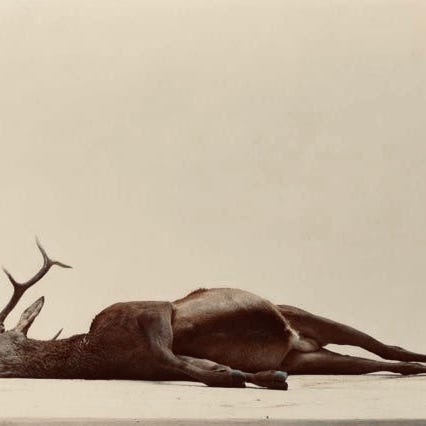 Haints Hollers Heresy