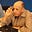 Ivor Gaber's avatar