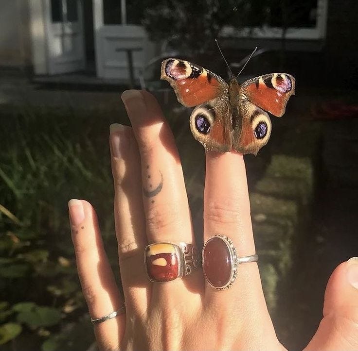 This may contain: a butterfly sitting on top of a person's hand with three rings around it This may contain: a butterfly sitting on top of a person's hand with three rings around it