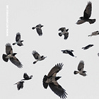 you're not broken, you're looping.