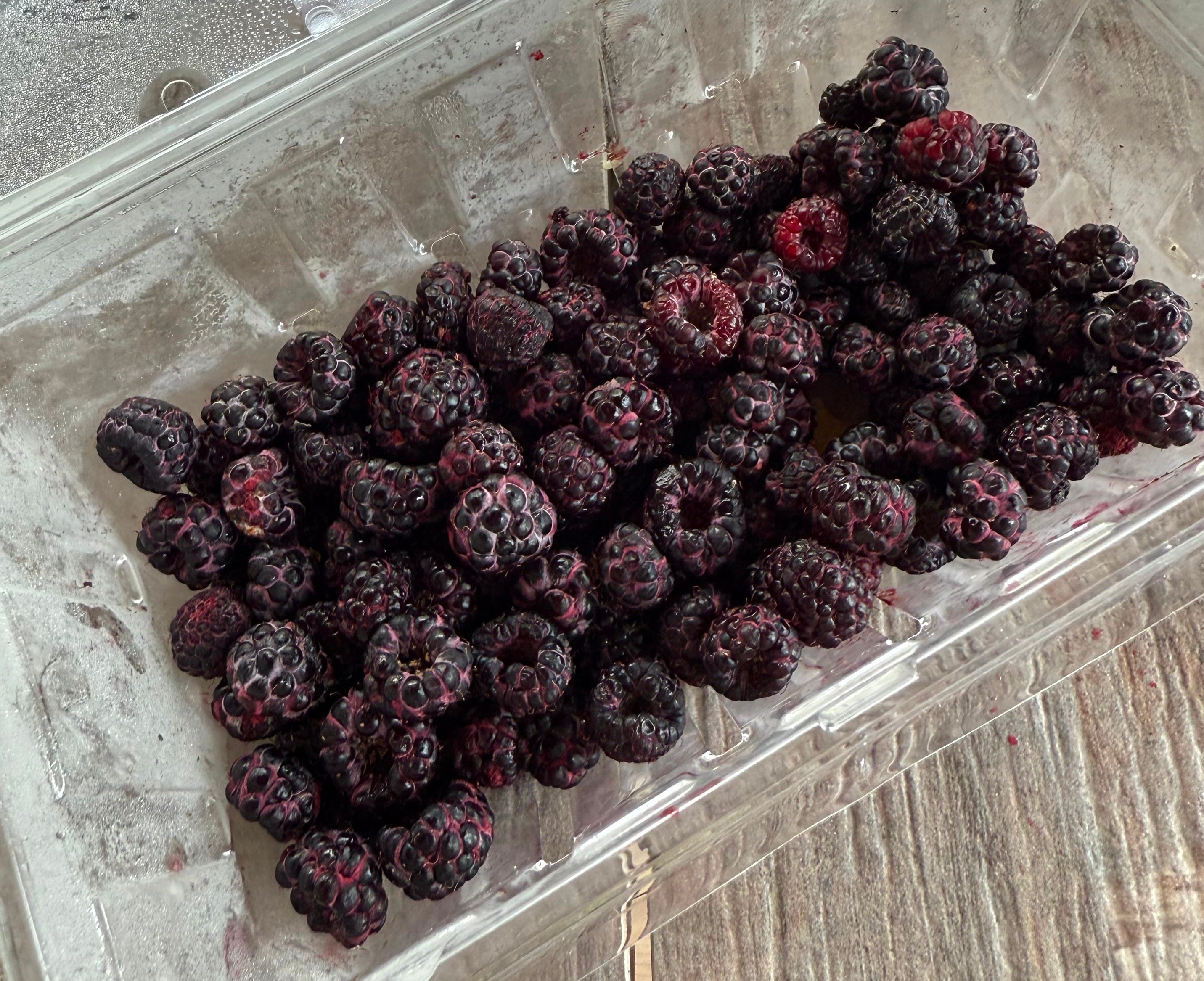 Red Eye Blue Raspberry Experiment: The Mystery of Blue Raspberry Flavor