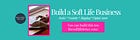 Soft Life CEO Notes