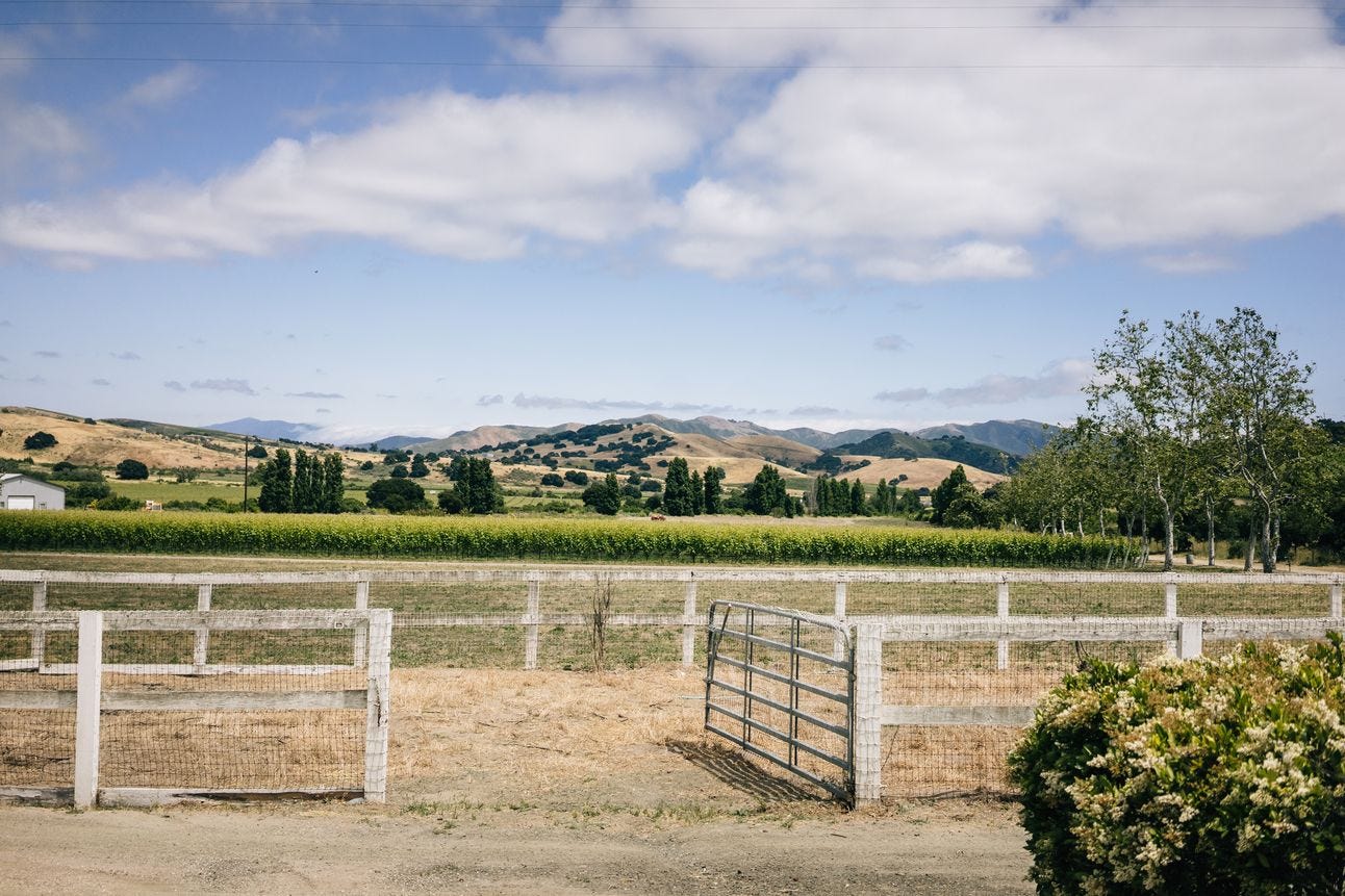 Image of Sta. Rita Hills in Santa Barbara Wine Country Image of Sta. Rita Hills in Santa Barbara Wine Country