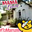 Fazli Sameer's avatar