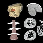 Anthropology.net