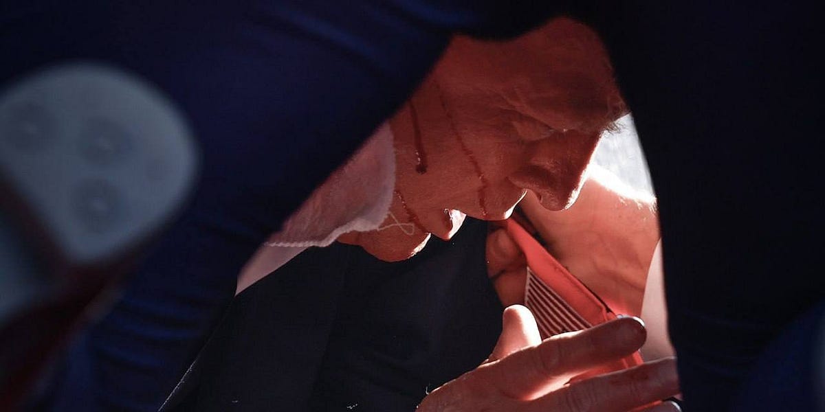 The Road Grazed in Butler's Field