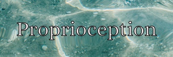 The word Proprioception in white font with black outline with the background of distorted turquoise water.