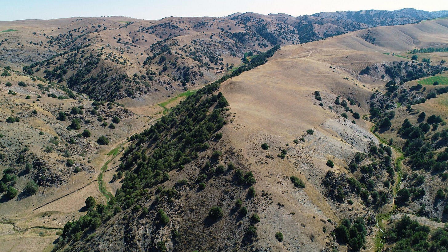 Landscape of Tugunbulak taken by a drone Landscape of Tugunbulak taken by a drone