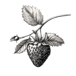 Eat The Strawberry