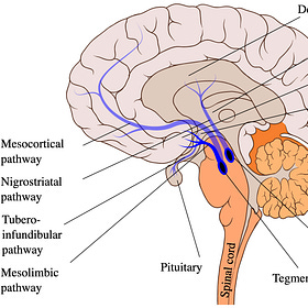 Addiction (Substance Use Disorder)