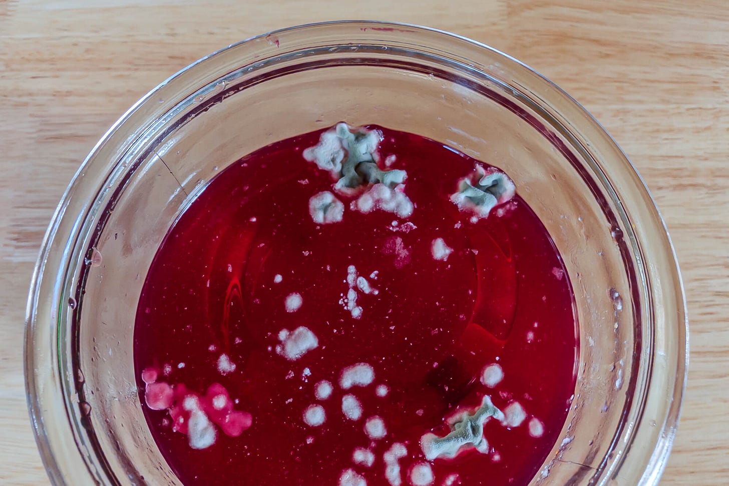 Draufsicht in ein Fermentations-Glas mit Salzlake, auf deren Oberfläche sich zahlreiche weisse sowie grün-bläuliche Schimmelflecken gebildet haben.