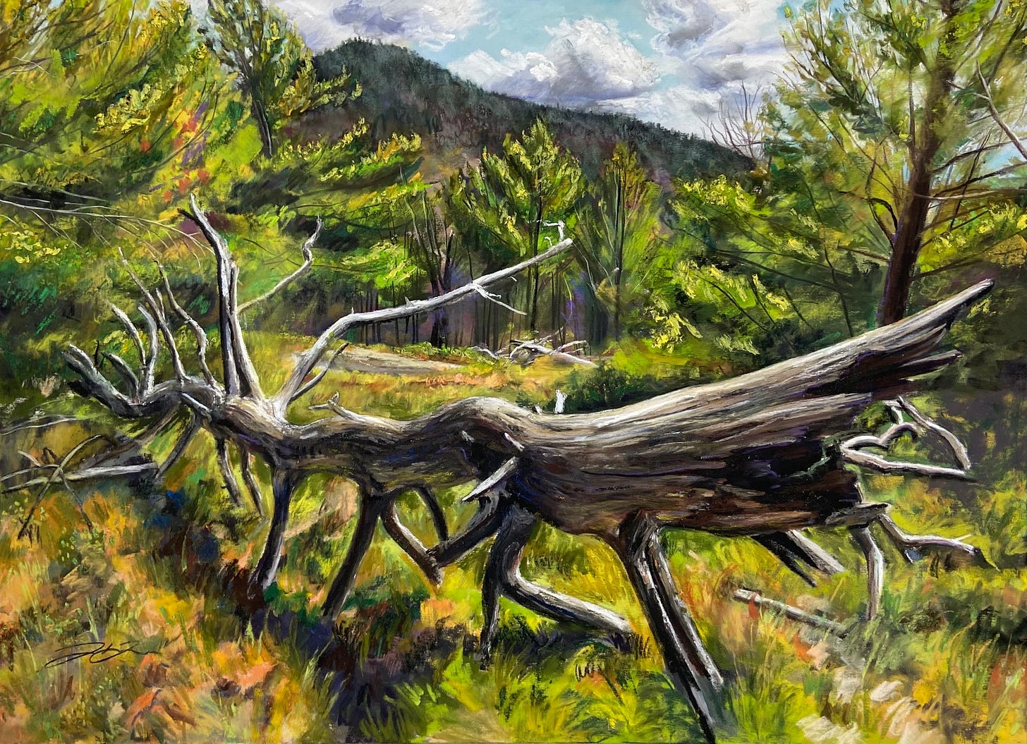 "If A Tree Falls" Original Pastel Painting – jackiehansonart
