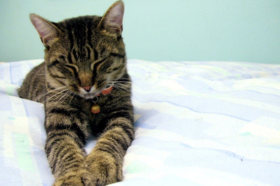 100_4687.JPG 100_4687.JPG