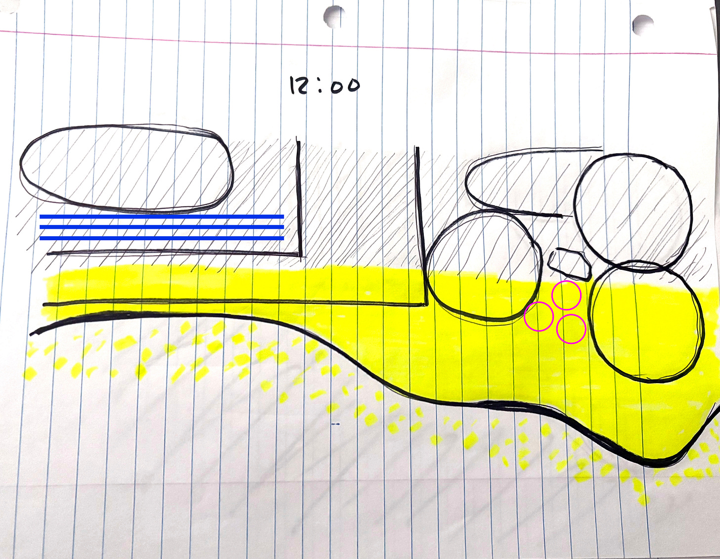 Hand drawn top view of a garden. Notating sun.