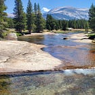 Bathing in gentle bugs at the top of the world