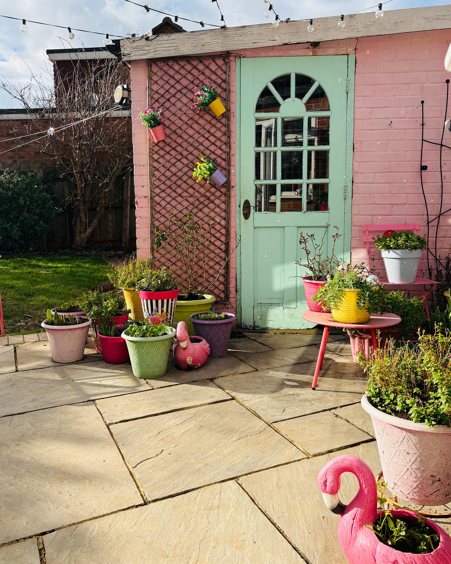 A sunny patio with a pink wall and bright pots with bulbs starting to come through
