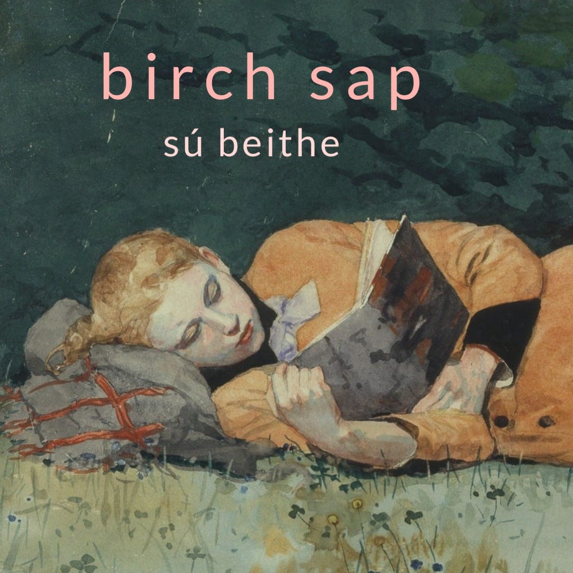 birch sap | sú beithe logo