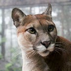 Beach Story Writing Dog Dad