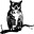 The Observer's avatar