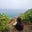Soumya Samuel's avatar