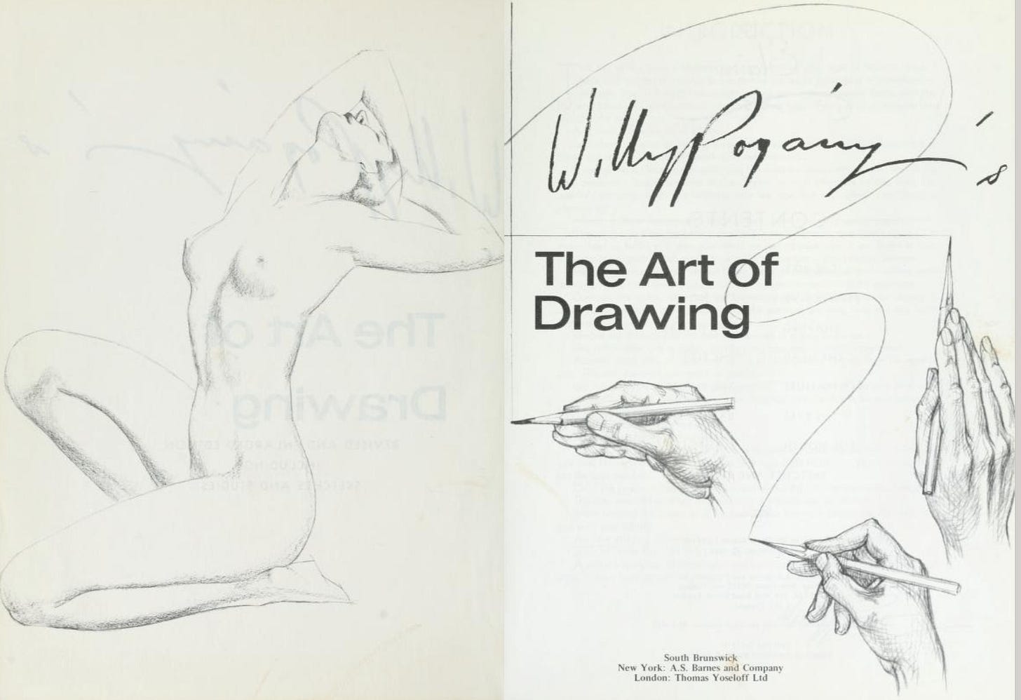 drawing of willy