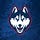 X avatar for @UConnFootball