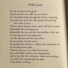 Wild Geese, by Mary Oliver You do not have to be good. You do not have to  walk on your knees for a hundred miles through the desert repenting. You  only have