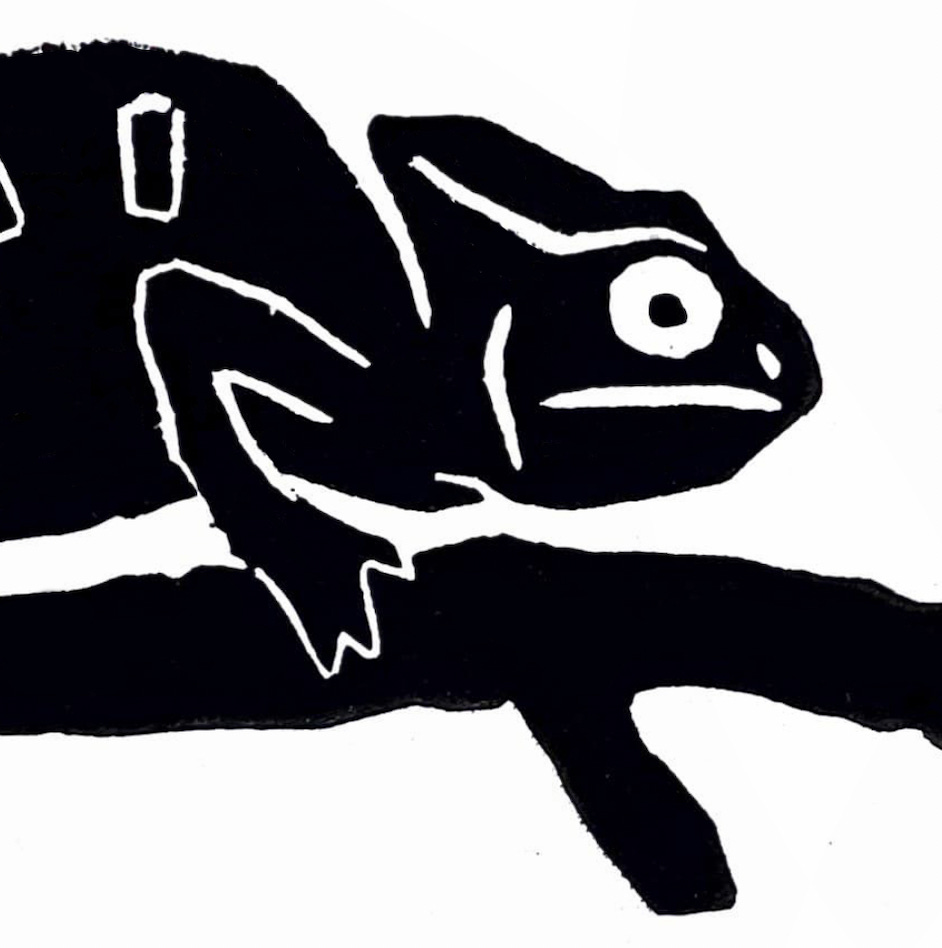 The Palleon Picayune