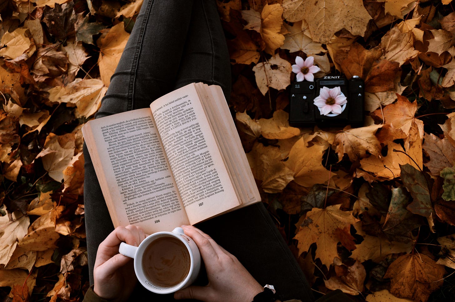 Autumn Book Relaxation
