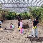 C FUTURES | Could farms on the outskirts of major cities be the solution to urban challenges?