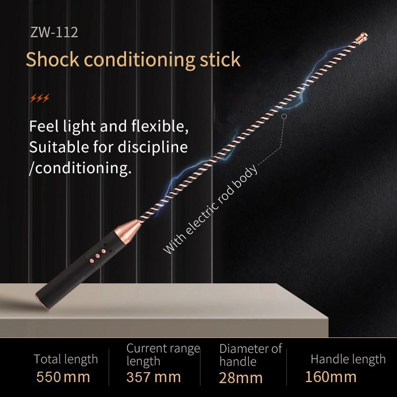 Electric Whip - Electric shocktraining rod (ZW-112) - Image 3