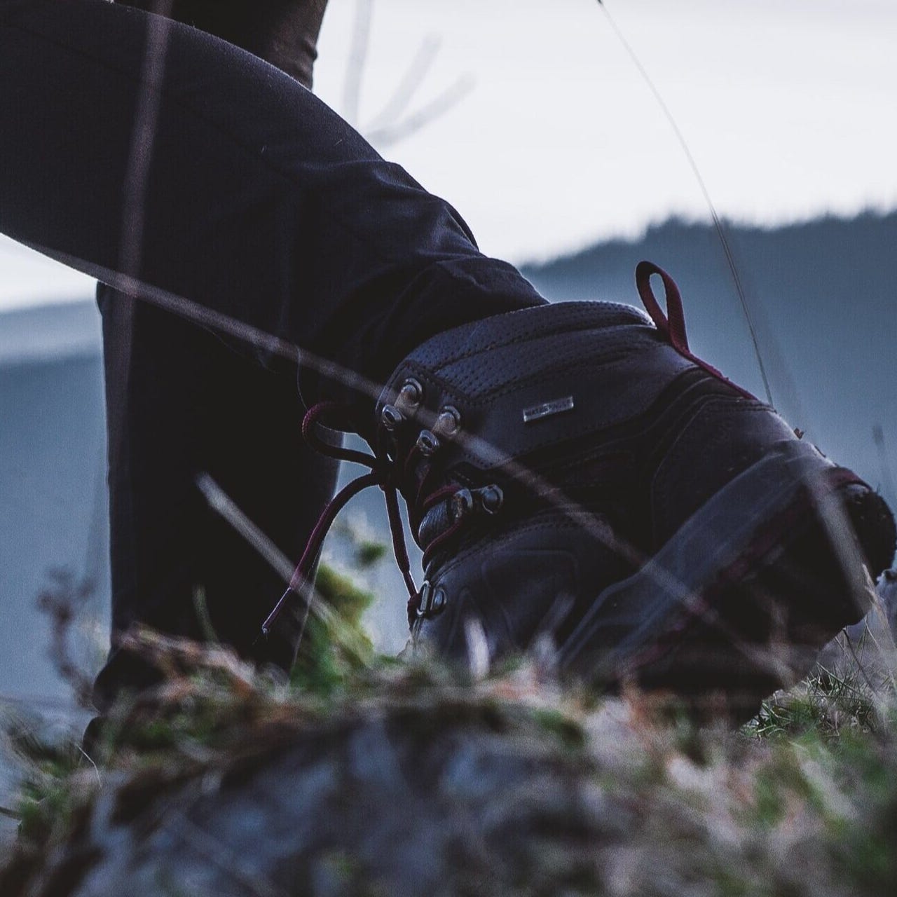 The Bootstrap Cinephile