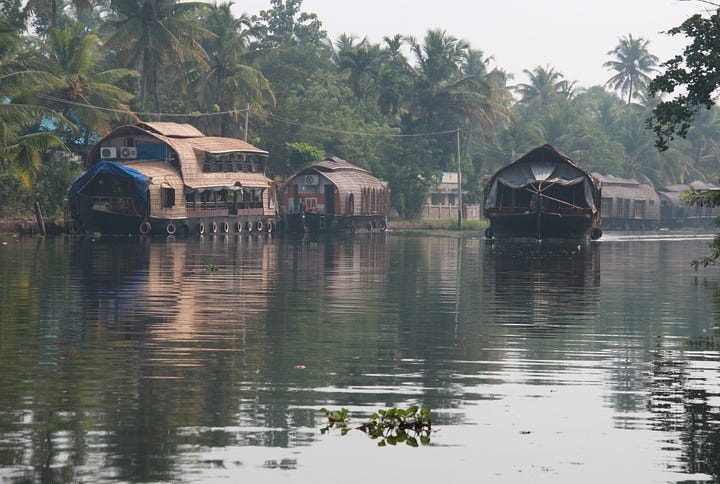 Dark pink waterlilies and three photos showing thatched houseboats with reflections