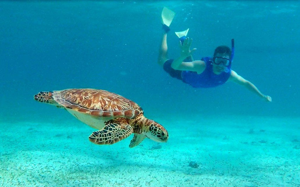 Belize snorkeling Belize snorkeling