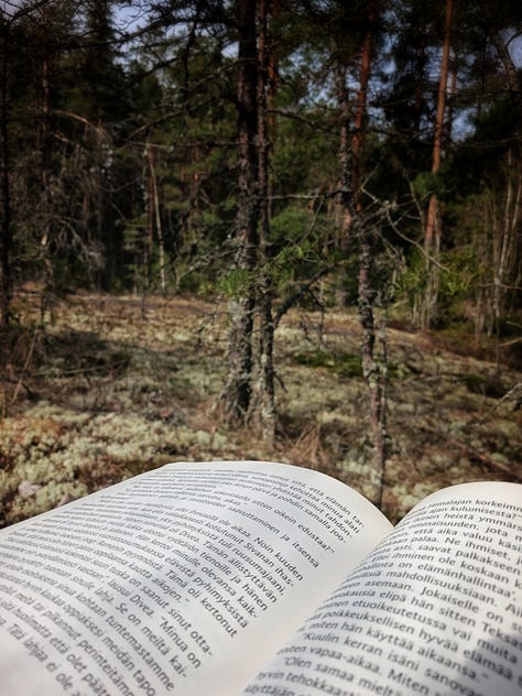 Kuvia Järvelän kosteikolta