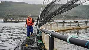 Extra anchors for Mowi Scotland's high-energy sites