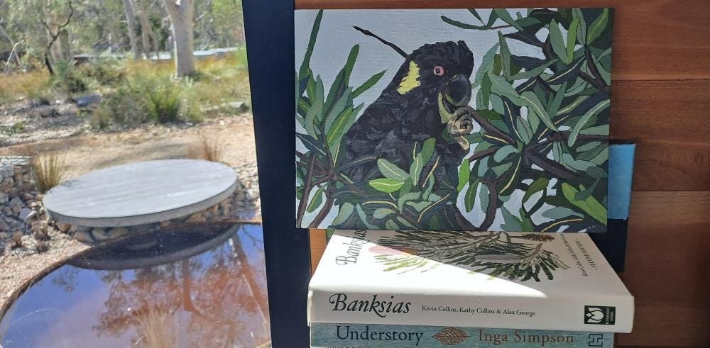 kim bell anderson painting kim bell anderson painting