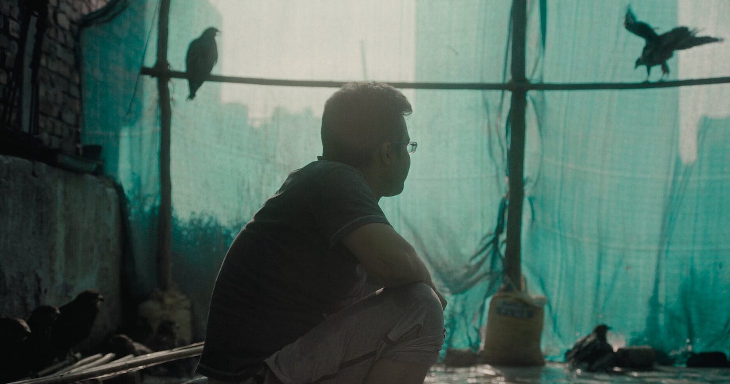 All That Breathes' Review: Hope Is the Thing With Feathers - The New York  Times