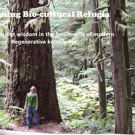 Designing Bio-cultural Refugia : seeding ancient wisdom in the fertile soils of modern Regenerative knowledge